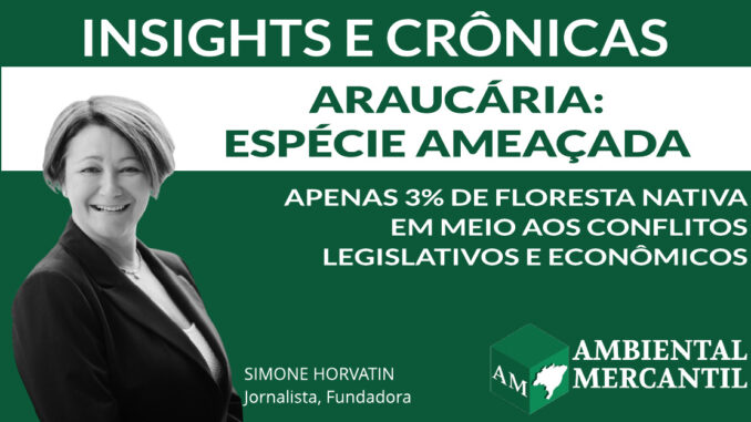 COLUNA INSIGHTS E CRÔNICAS | SIMONE NORVATIN | AMBIENTAL MERCANTIL