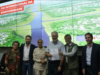 Foto: Divulgação - Ministério do Meio Ambiente | Da esquerda para a direita: Tereza Campello, diretora socioambiental do BNDES; Plinio Ribeiro, cofundador e presidente do Conselho da Parquetur; Marina Silva, ministra do Meio Ambiente; Claudio Pádua, cofundador da Parquetur; Mauro Pires, presidente do ICMBio; e Pedro Cleto, diretor-executivo da Parquetur