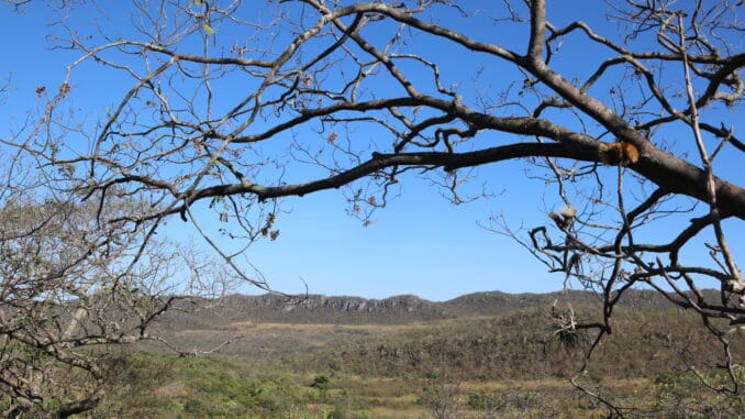 Foto: Sou Cerrado