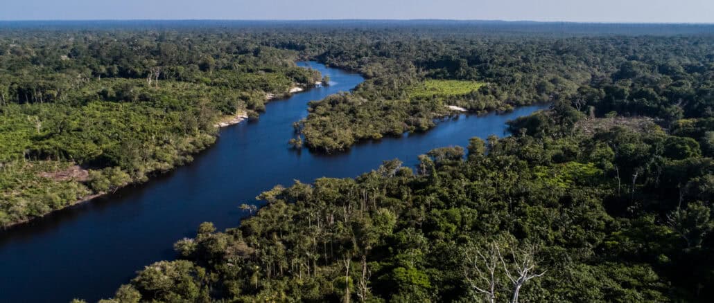 Foto: Idesam / Rodrigo Duarte - Reserva de Desenvolvimento Sustentável de Uatumã