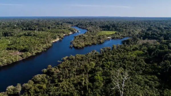 Foto: Idesam / Rodrigo Duarte - Reserva de Desenvolvimento Sustentável de Uatumã