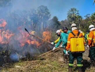 Foto: Gustavo Figueiroa | Brigadas