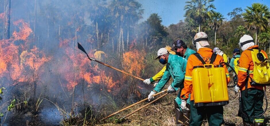 Foto: Gustavo Figueiroa | Brigadas