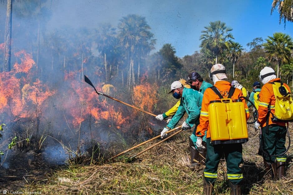 SOS Pantanal alerta para a necessidade de fiscalização dos incêndios no bioma e de urgente investigação de sua origem