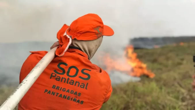 Foto: SOS Pantanal | Brigadas Pantaneiras