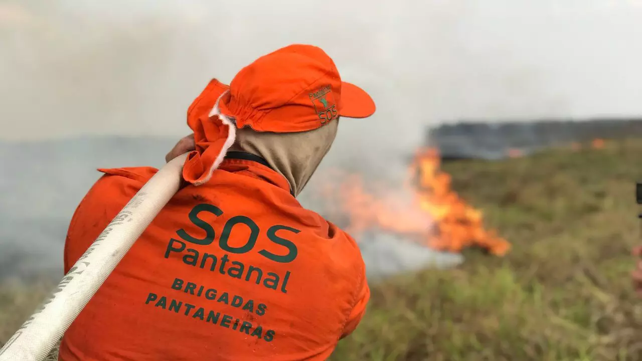 SOS Pantanal publica Nota Técnica sobre situação crítica do bioma com relação à escassez hídrica e alerta quanto ao aumento de mais de 1000% nos incêndios florestais