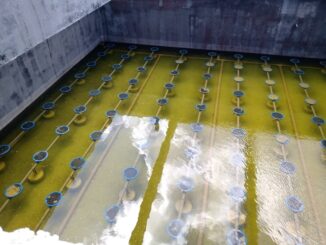 Foto: Divulgação | Aeris Energy conquista marca histórica no tratamento e reutilização de efluentes
