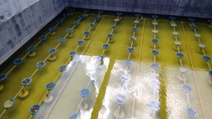 Foto: Divulgação | Aeris Energy conquista marca histórica no tratamento e reutilização de efluentes Foto: Divulgação | Aeris Energy conquista marca histórica no tratamento e reutilização de efluentes