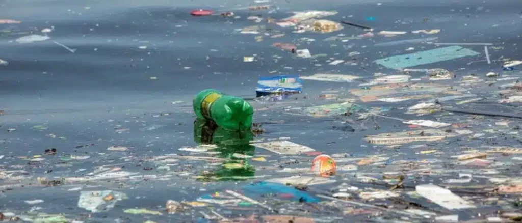 Foto: Instituto Mar Urbano/Ricardo Gomes | A indústria brasileira produz bilhões de itens de plásticos de uso único por ano, poluindo os oceanos.