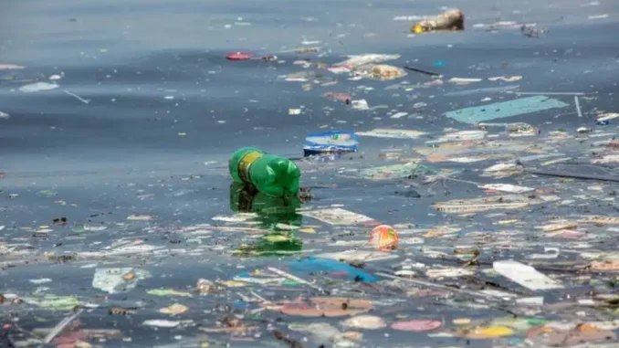 Foto: Instituto Mar Urbano/Ricardo Gomes | A indústria brasileira produz bilhões de itens de plásticos de uso único por ano, poluindo os oceanos.