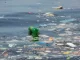 Foto: Instituto Mar Urbano/Ricardo Gomes | A indústria brasileira produz bilhões de itens de plásticos de uso único por ano, poluindo os oceanos.