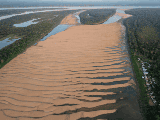 Foto: Marizilda Cruppe/Greenpeace | Estiagem na Amazônia em 2023, cidade de Tefé (Amazonas)