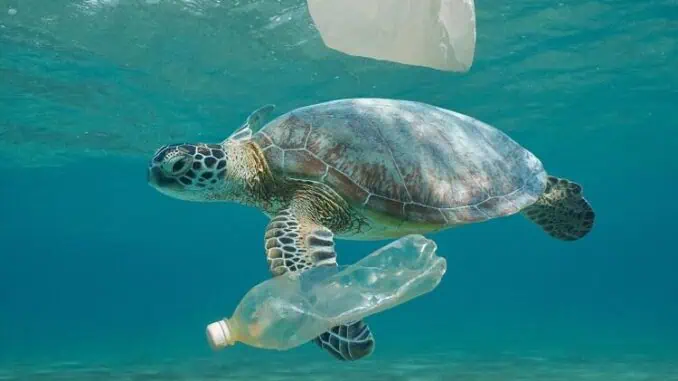 Foto: Divulgação | É possível substituir o plástico convencional? Conheça as alternativas que geram menor impacto ambiental