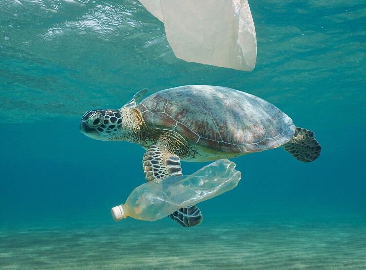 Foto: Divulgação | É possível substituir o plástico convencional? Conheça as alternativas que geram menor impacto ambiental