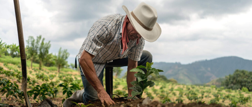 Foto: Divulgação | Dia do Agricultor: conheça 3 startups empenhadas em reduzir o impacto ambiental na agricultura