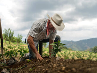 Foto: Divulgação | Dia do Agricultor: conheça 3 startups empenhadas em reduzir o impacto ambiental na agricultura