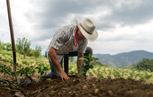 Foto: Divulgação | Dia do Agricultor: conheça 3 startups empenhadas em reduzir o impacto ambiental na agricultura