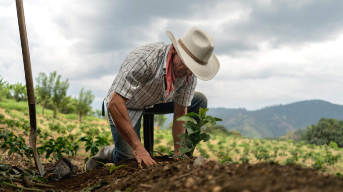 Foto: Divulgação | Dia do Agricultor: conheça 3 startups empenhadas em reduzir o impacto ambiental na agricultura