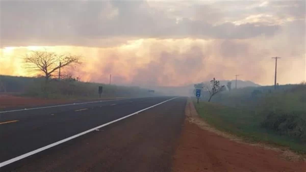 Foto: Divulgação | Queimadas nas rodovias aumentam risco de acidentes e colocam animais silvestres em risco