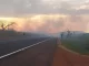 Foto: Divulgação | Queimadas nas rodovias aumentam risco de acidentes e colocam animais silvestres em risco