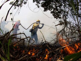 Foto: Fernando Donasci/MMA | Brigadistas do Prevfogo/Ibama combatem incêndios na região de Corumbá/MS