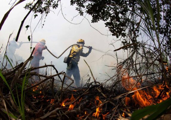 Foto: Fernando Donasci/MMA | Brigadistas do Prevfogo/Ibama combatem incêndios na região de Corumbá/MS