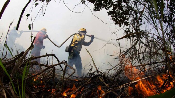 Foto: Fernando Donasci/MMA | Brigadistas do Prevfogo/Ibama combatem incêndios na região de Corumbá/MS