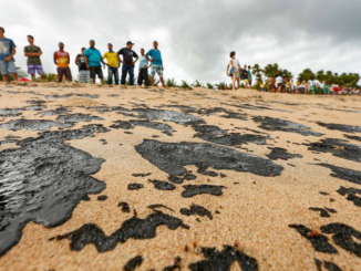 Foto: Felipe Brasil/Fotos Públicas