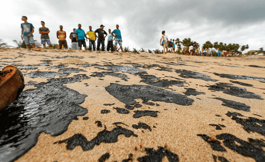 Impunidade por derramamento de óleo na Costa do Nordeste: Greenpeace Brasil alerta riscos na margem equatorial após 5 anos