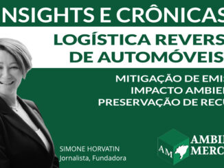 COLUNA INSIGHTS E CRÔNICAS | SIMONE NORVATIN | AMBIENTAL MERCANTIL