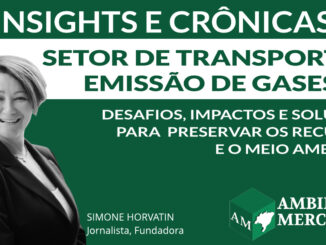 COLUNA INSIGHTS E CRÔNICAS | SIMONE NORVATIN | AMBIENTAL MERCANTIL