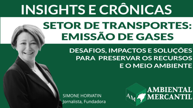 COLUNA INSIGHTS E CRÔNICAS | SIMONE NORVATIN | AMBIENTAL MERCANTIL