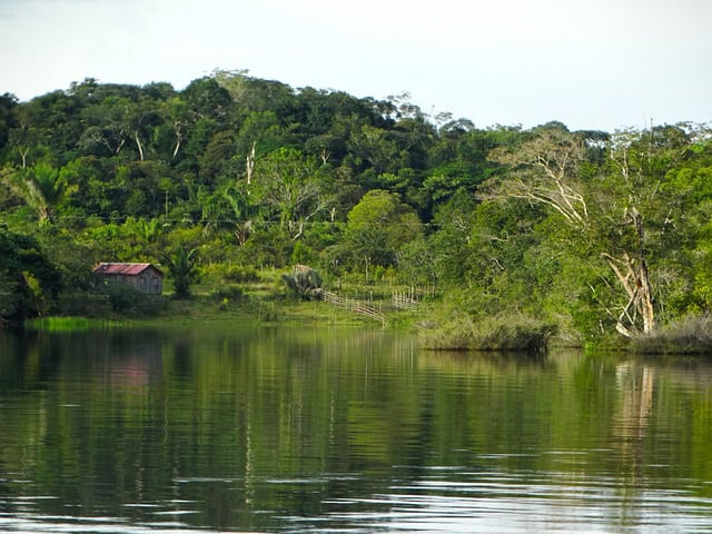 Embrapii, Agni e Arapyaú firmam parceria para impulsionar sustentabilidade na Amazônia