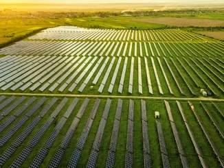 Foto: Divulgação | Fonte solar chega a 45 gigawatts no Brasil e ultrapassa R$ 211,7 bilhões de investimentos acumulados, segundo ABSOLAR