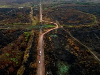 Foto: Greenpeace | Crescimento dos focos no Pantanal em agosto de 2024 já é de 3.505% e área queimada corresponde a 854.600 hectares, segundo dados do LASA