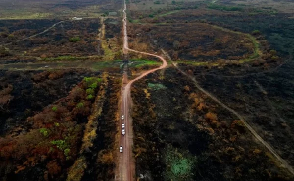 Foto: Greenpeace | Crescimento dos focos no Pantanal em agosto de 2024 já é de 3.505% e área queimada corresponde a 854.600 hectares, segundo dados do LASA