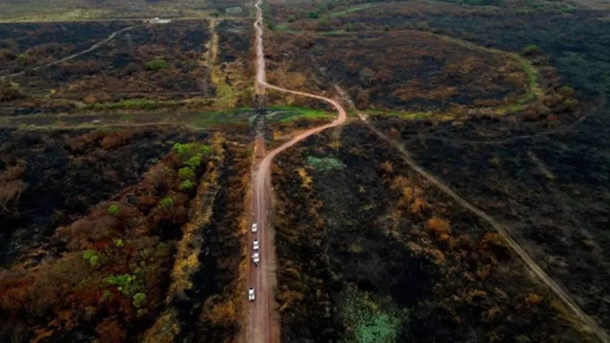 Foto: Greenpeace | Crescimento dos focos no Pantanal em agosto de 2024 já é de 3.505% e área queimada corresponde a 854.600 hectares, segundo dados do LASA