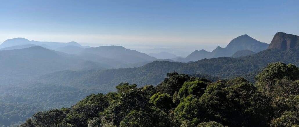 Foto: Vinicius Bustamante, Unsplash | Atualmente, o Lactec tem realizado projetos que visam a conservação da biodiversidade