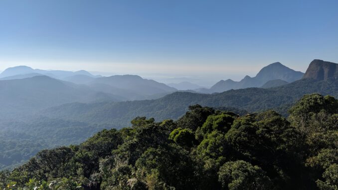 Foto: Vinicius Bustamante, Unsplash | Atualmente, o Lactec tem realizado projetos que visam a conservação da biodiversidade