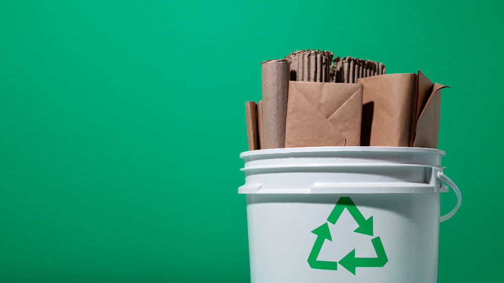 Recicladores de papel querem dobrar meta de uso do insumo pela indústria até 2025