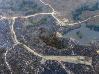 Foto: Marizilda Cruppe/Greenpeace | Incêndio florestal e queimadas em áreas financiadas com crédito rural na Amazônia