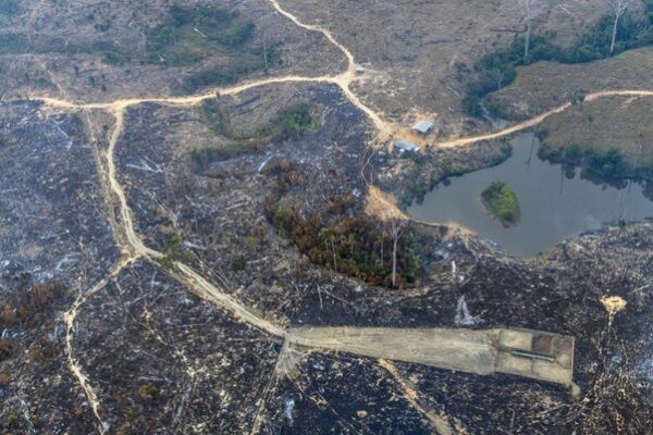 Foto: Marizilda Cruppe/Greenpeace | Incêndio florestal e queimadas em áreas financiadas com crédito rural na Amazônia