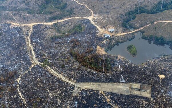 Foto: Marizilda Cruppe/Greenpeace | Incêndio florestal e queimadas em áreas financiadas com crédito rural na Amazônia