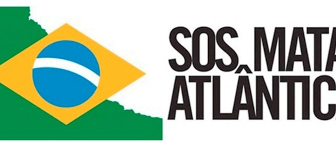 Imagem: Divulgação/SOS Mata Atlântica