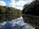 Foto: Adriano Gambariny/WWF Brasil | Parque Nacional do Descobrimento