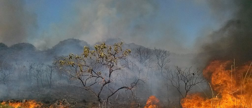 Foto: Jose Cruz/Agência Brasil | O Cerrado sofre com as queimadas neste período de estiagem, a baixa umidade no DF no fim de semana levou a Defesa Civil a declarar estado de emergência na capital