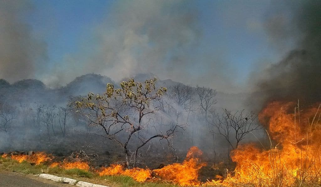 Cerrado tem um foco de fogo a cada 6 minutos, aponta Inpe