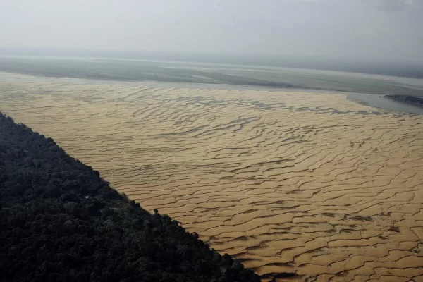 Foto: © Christian Braga/Greenpeace | Em setembro de 2024, o Greenpeace Brasil foi até a região de Tefé (AM) para documentar os impactos da seca extrema que atinge a região. Na foto um dos trechos do Rio Solimões.