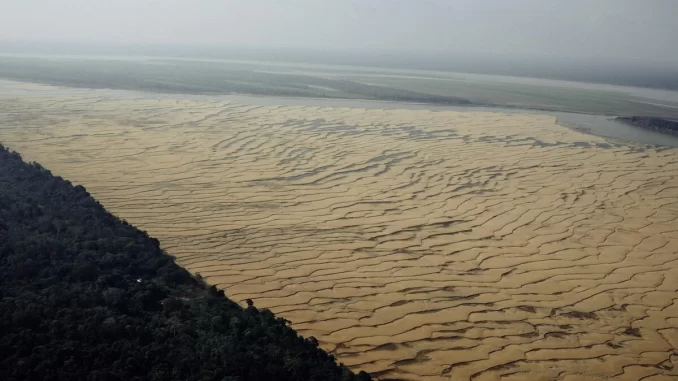 Foto: © Christian Braga/Greenpeace | Em setembro de 2024, o Greenpeace Brasil foi até a região de Tefé (AM) para documentar os impactos da seca extrema que atinge a região. Na foto um dos trechos do Rio Solimões.