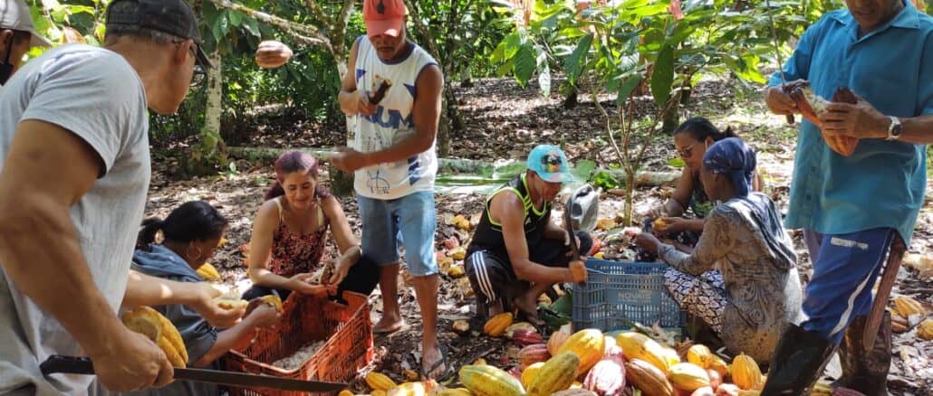 Foto: Divulgação | Startup destaca o protagonismo da agricultura familiar na crise climática